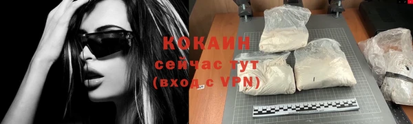 стаф Михайловск