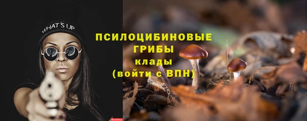 стаф Михайловск