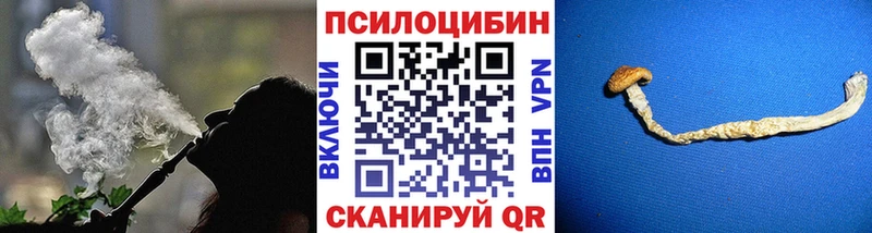 Купить  Красный Кут  Псилоцибиновые грибы Magic Shrooms 